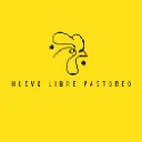 HUEVO MX