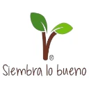 SIEMBRA LO BUENO