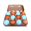 huevo-organico-libre-pastoreo-12-piezas-tio-organico-2.webp