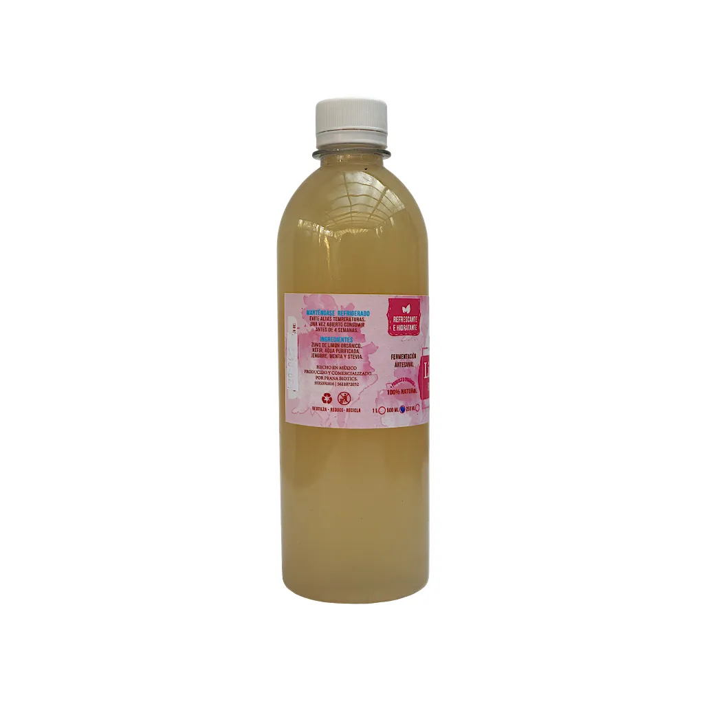 Limonada_probiótica_500ml_BIOTIKOS (2).webp