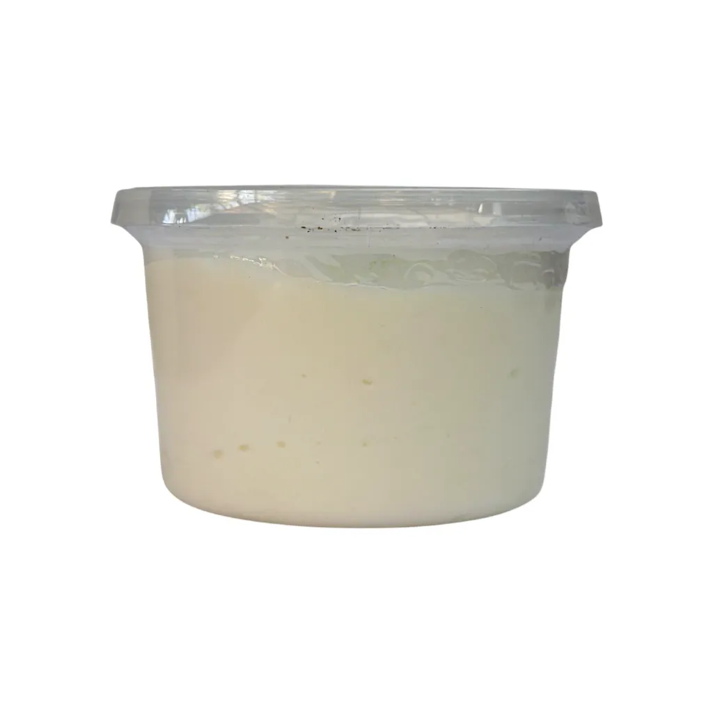 Yoghurt_de_vaca_480gr_VILLA_DE_PATOS (5).webp