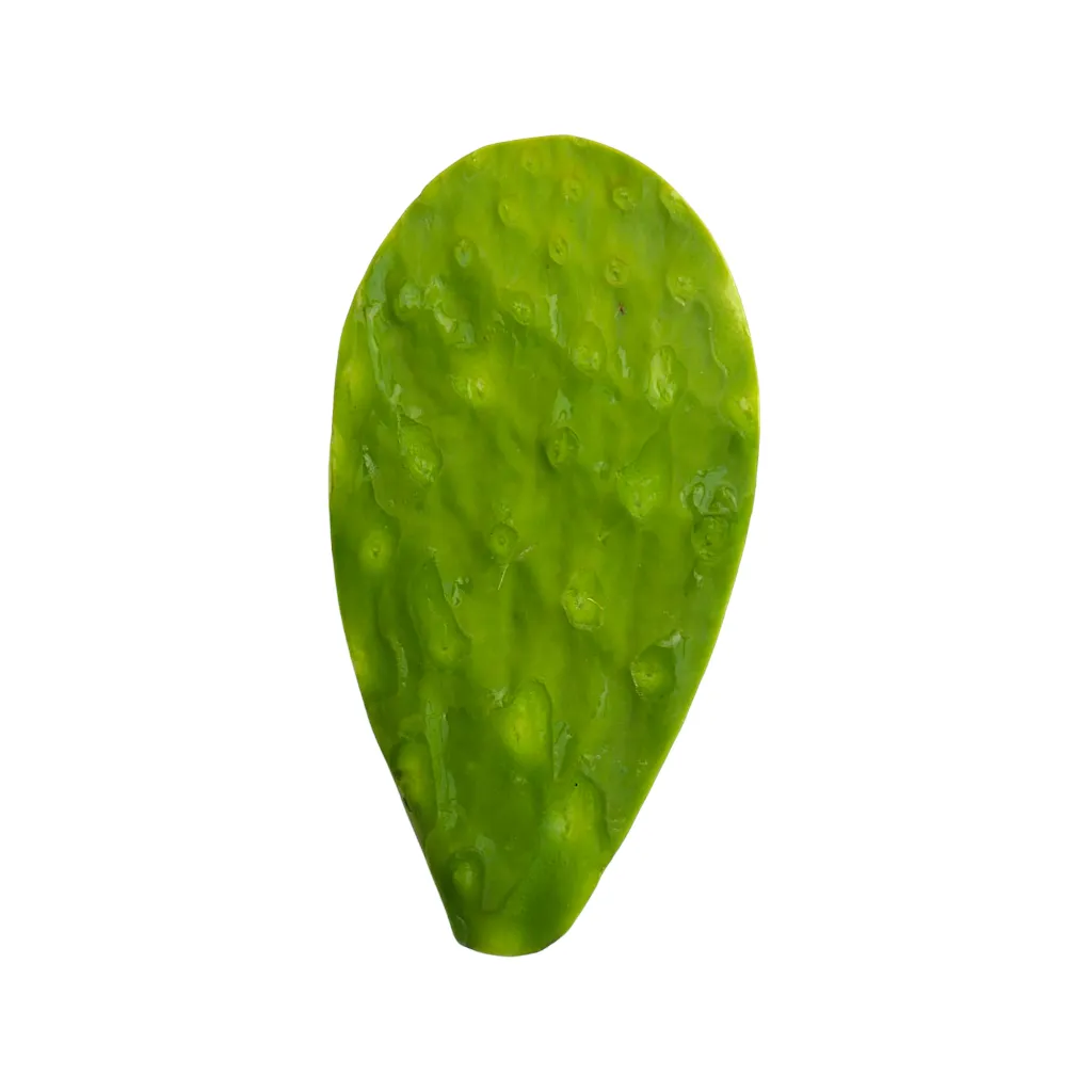Nopal_kg (5).webp