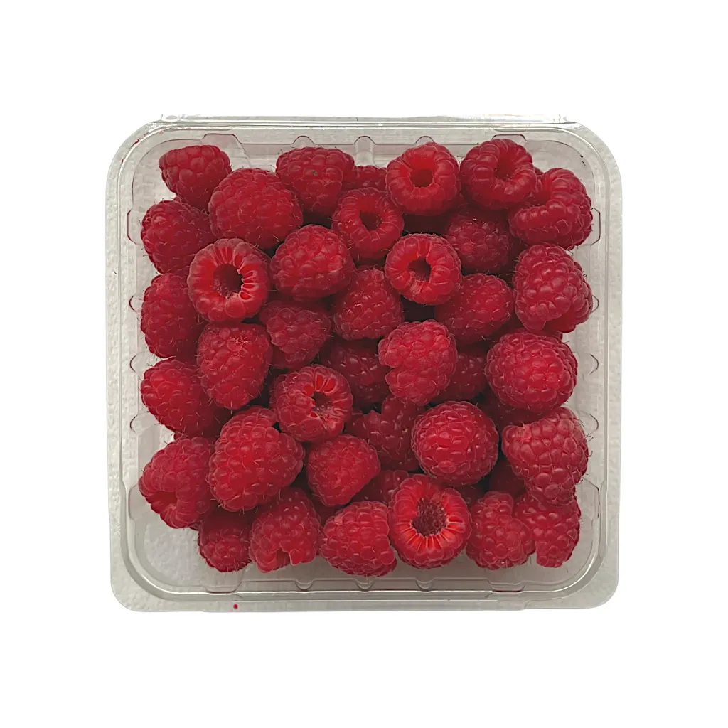 image-3 5.webp