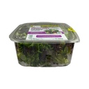 Ensalada primavera 180gr CAMPO VIVO