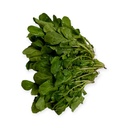 Arúgula kg