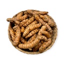Cúrcuma agroecológica kg