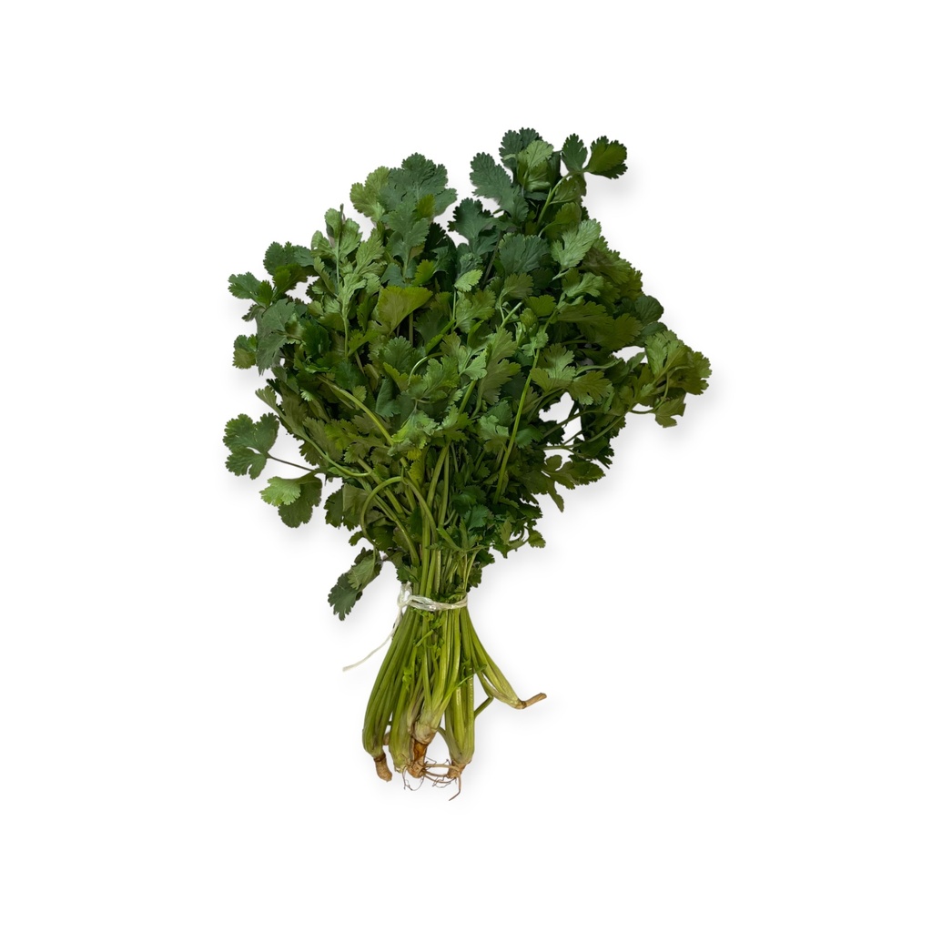 Cilantro kg