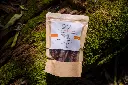 _JJJ2561.webp