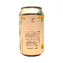 parasol-mango-2.webp