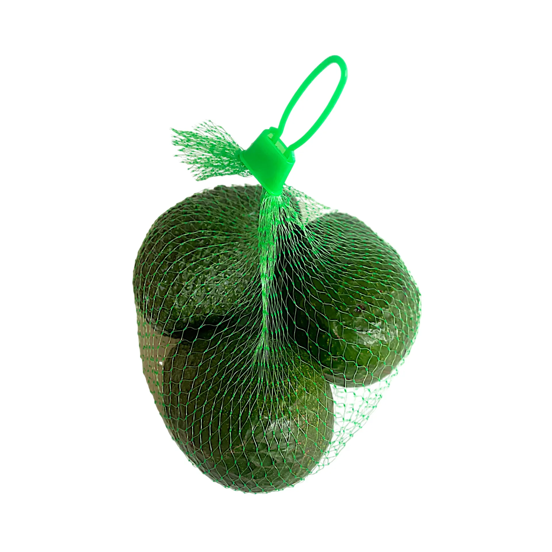 Aguacate Hass