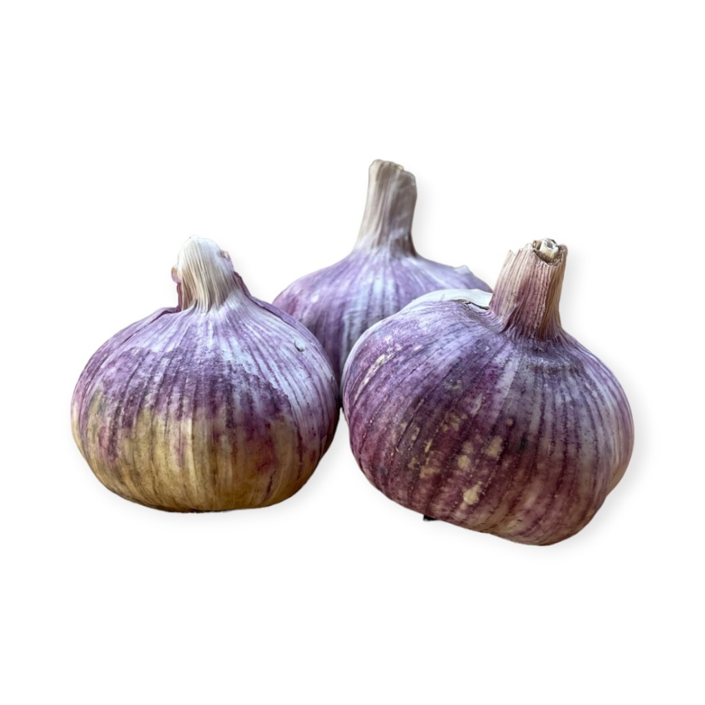 Ajo kg
