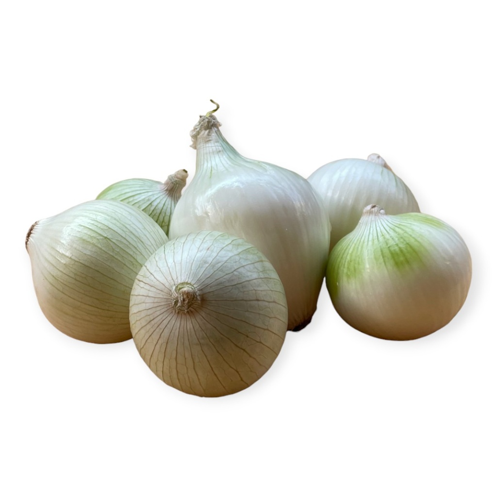 Cebolla blanca kg