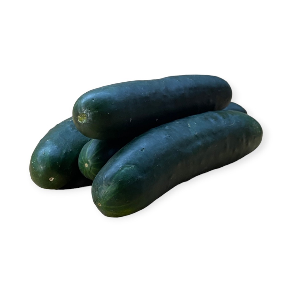 Pepino americano kg