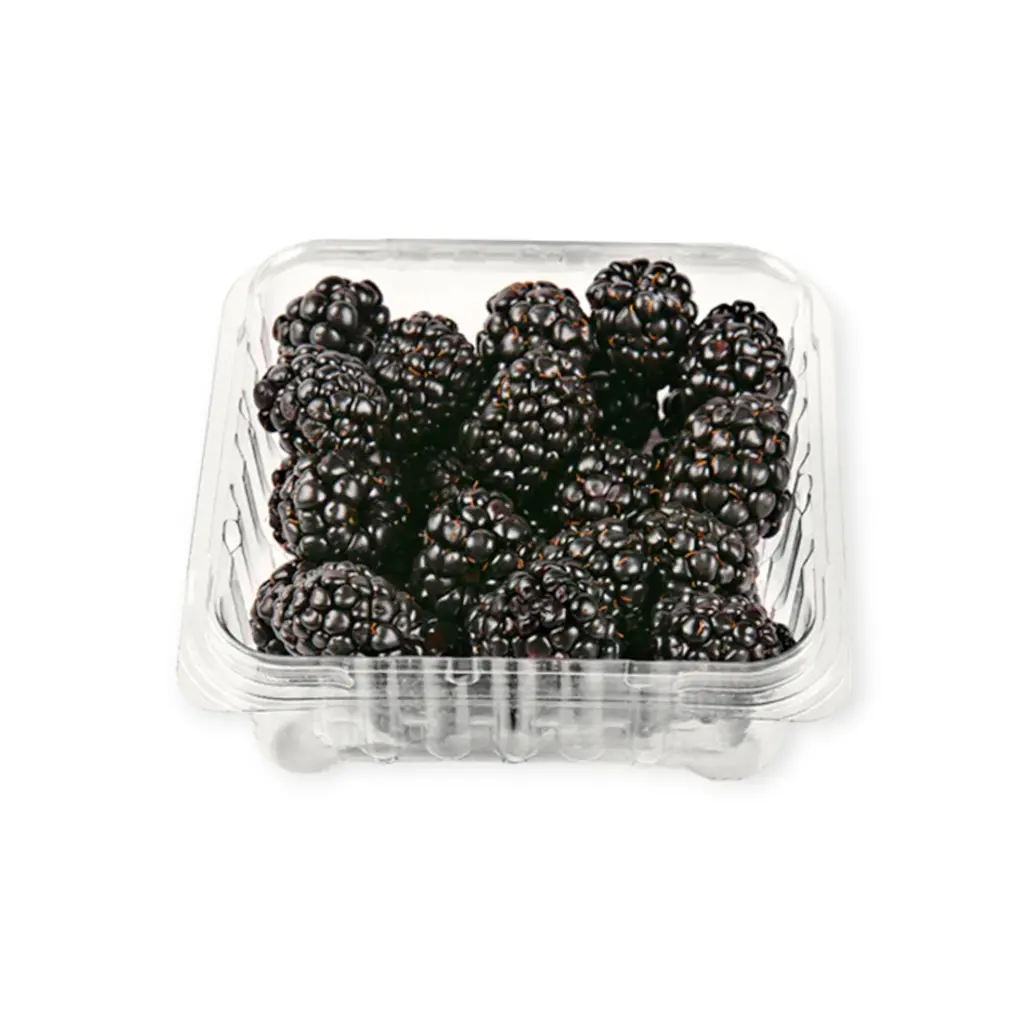 Zarzamoras orgánicas 170gr LUZ DE SABOR