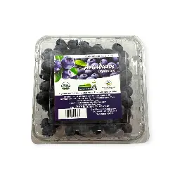 Arándanos 170gr LUZ DE SABOR