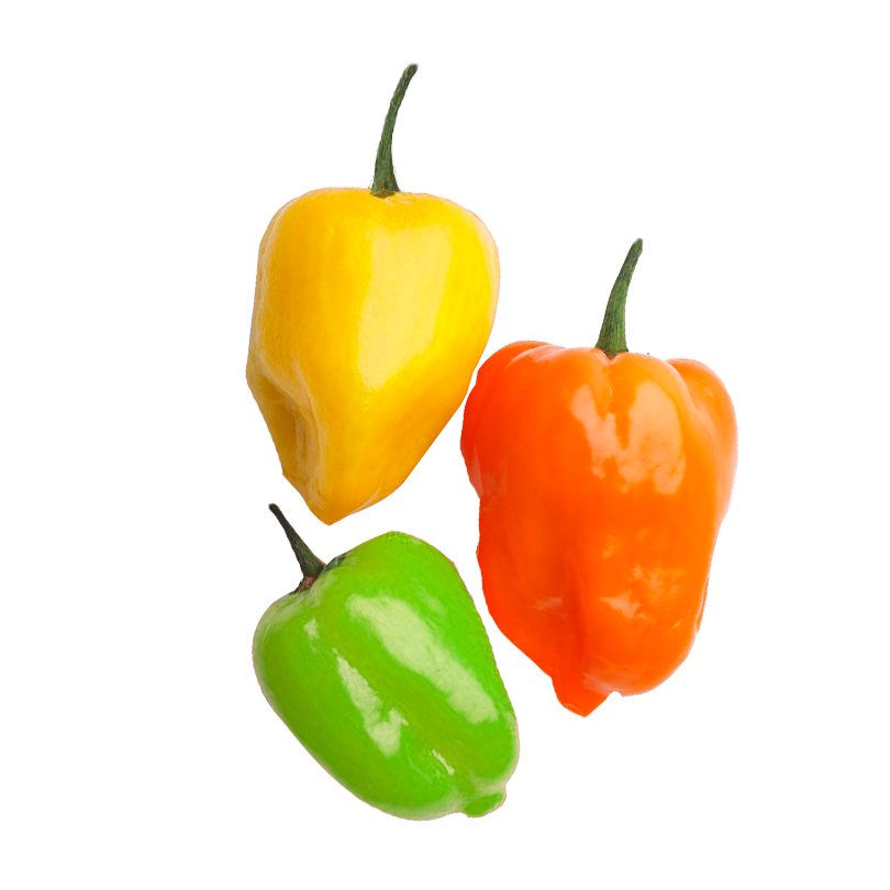 Chile habanero kg