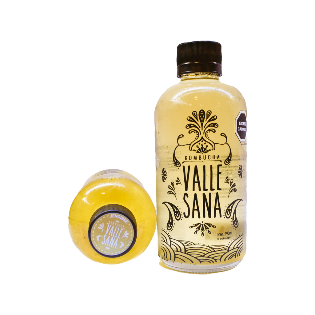 Kombucha de jengibre 290ml VALLE SANA