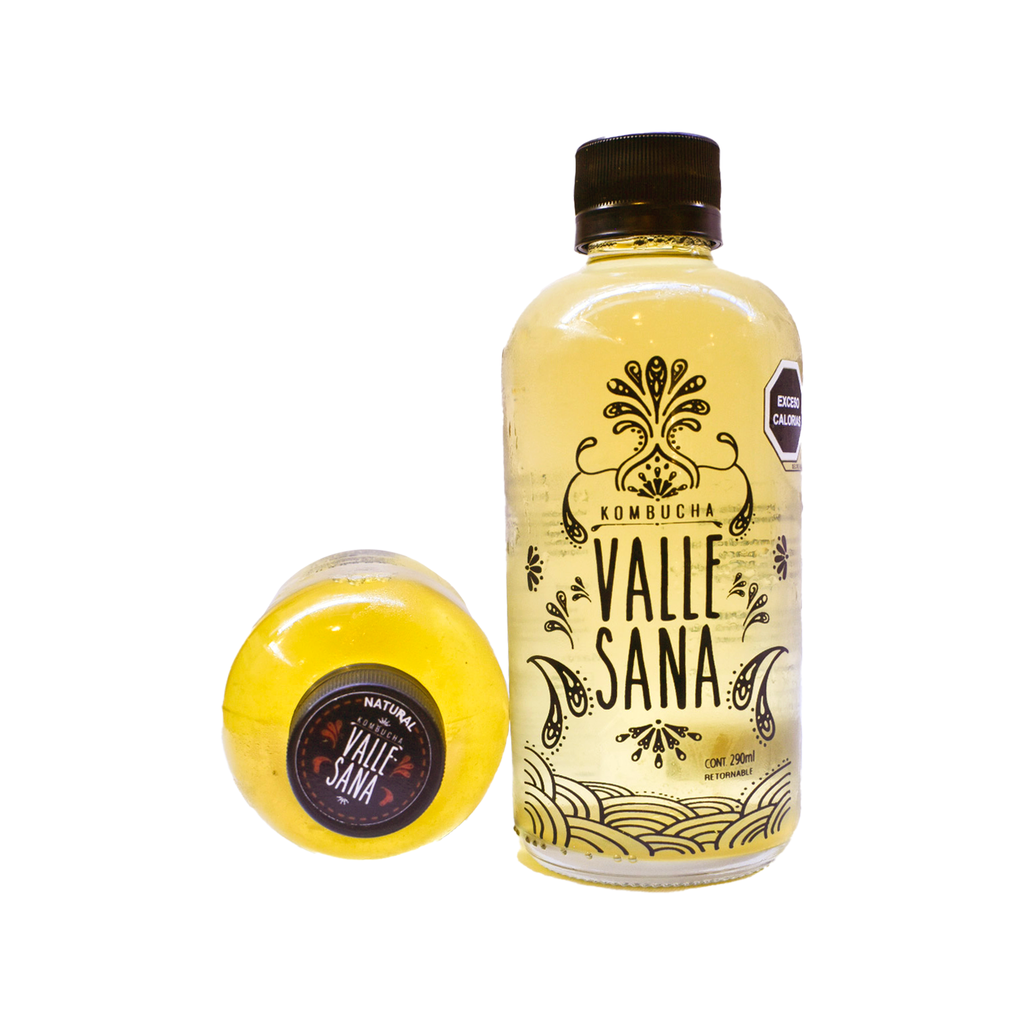 Kombucha natural 290ml VALLE SANA