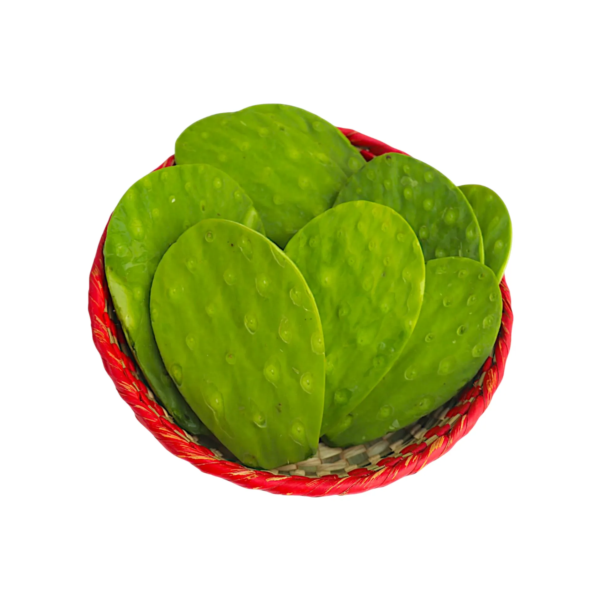 Nopal kg