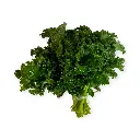 Kale (100gr aprox.) mjo