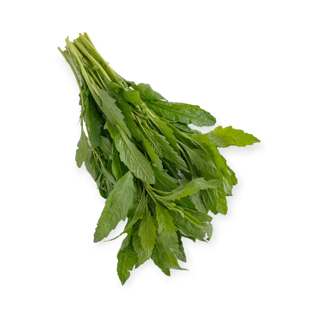 Epazote mjo