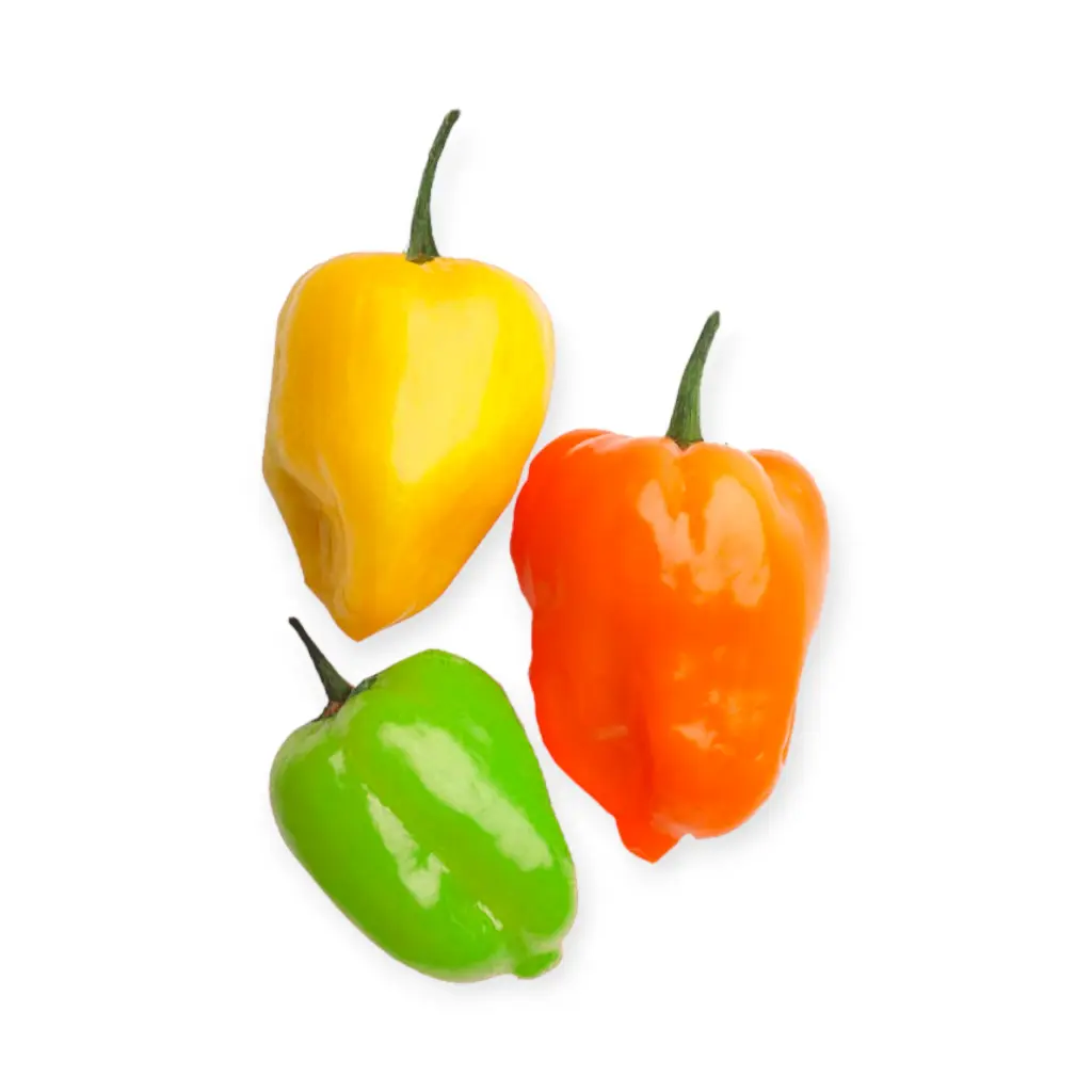 Chile habanero