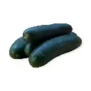 Pepino americano