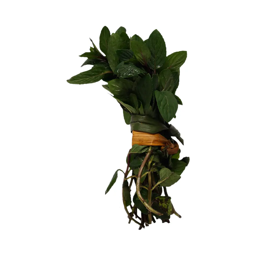 Menta mjo ETIQUETA CHINAMPERA
