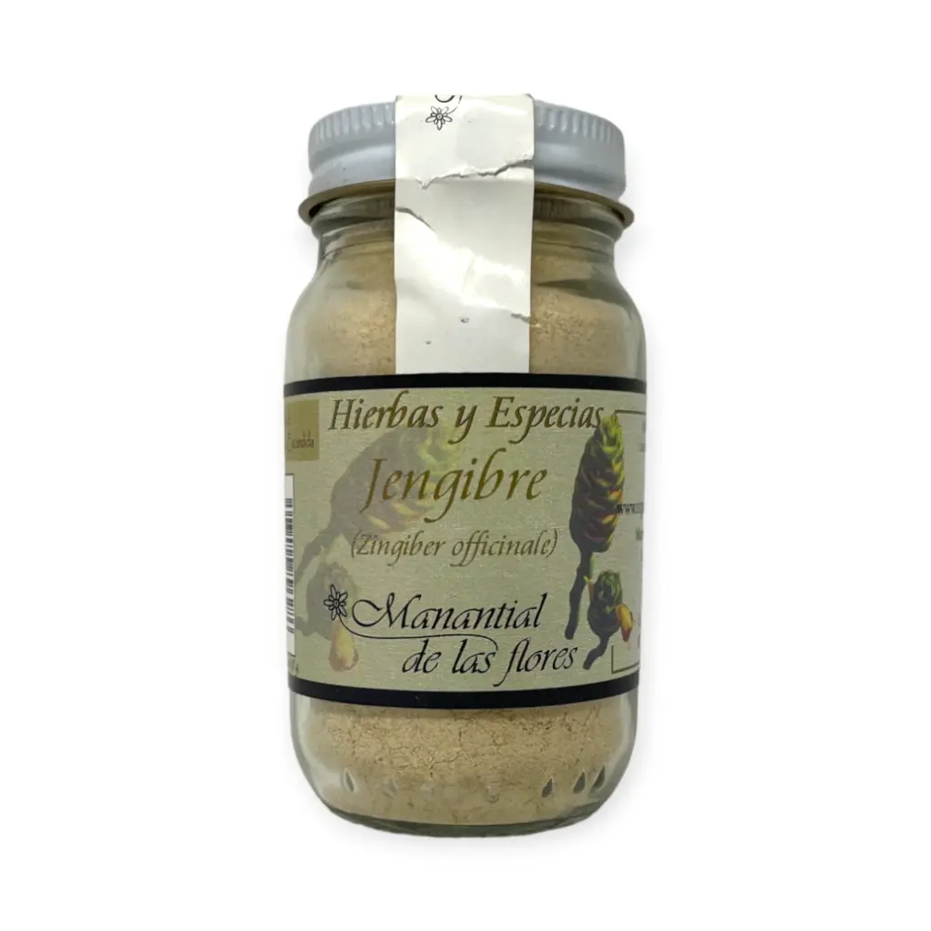 Especias jengibre 55gr MANANTIAL DE LAS FLORES