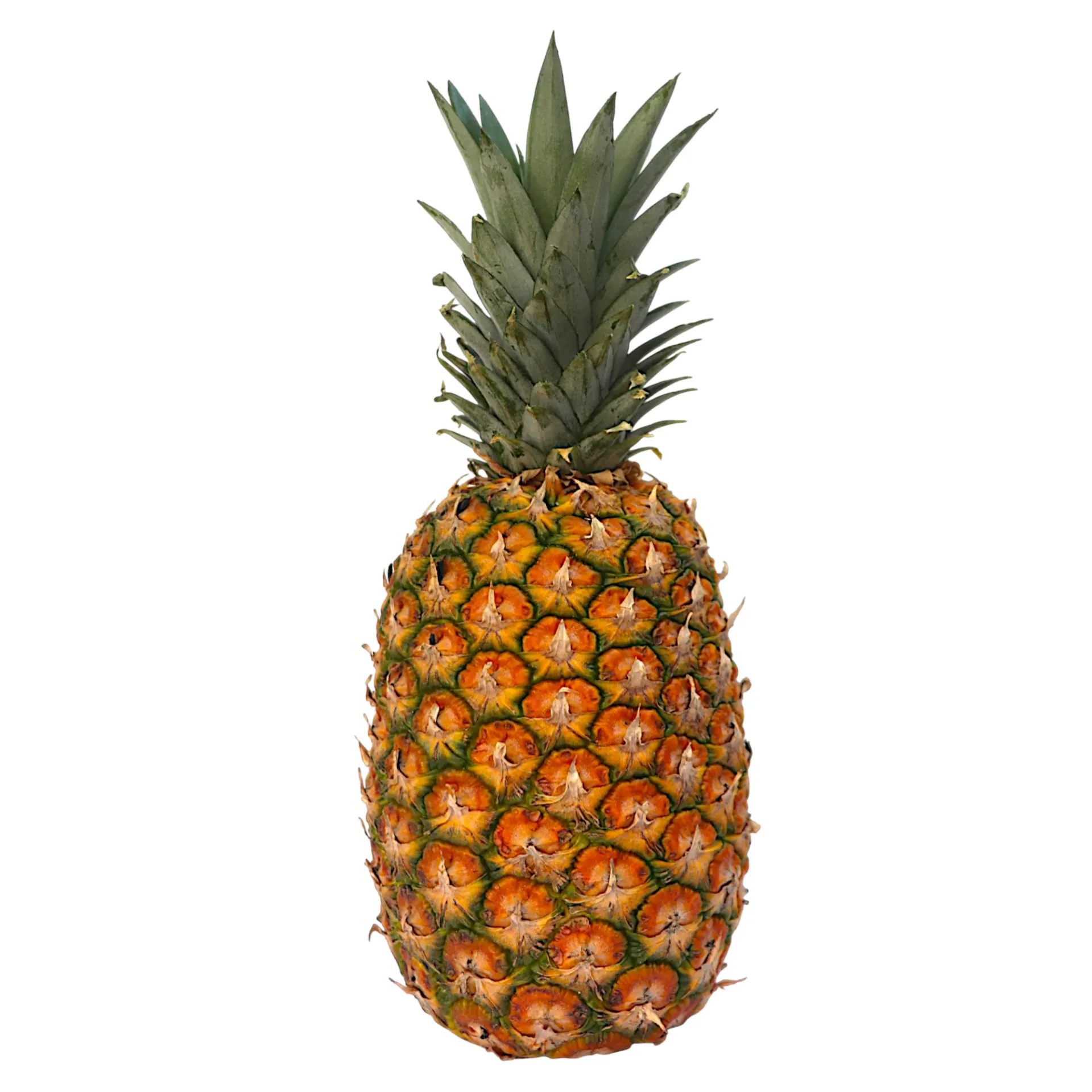 Piña kg