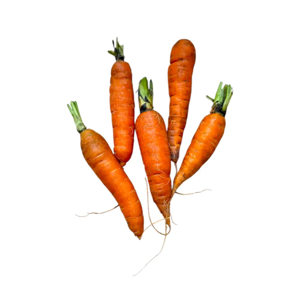 Zanahoria naranja ETIQUETA CHINAMPERA