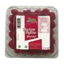 Frambuesa en domo 170gr FRUTOS ROJOS