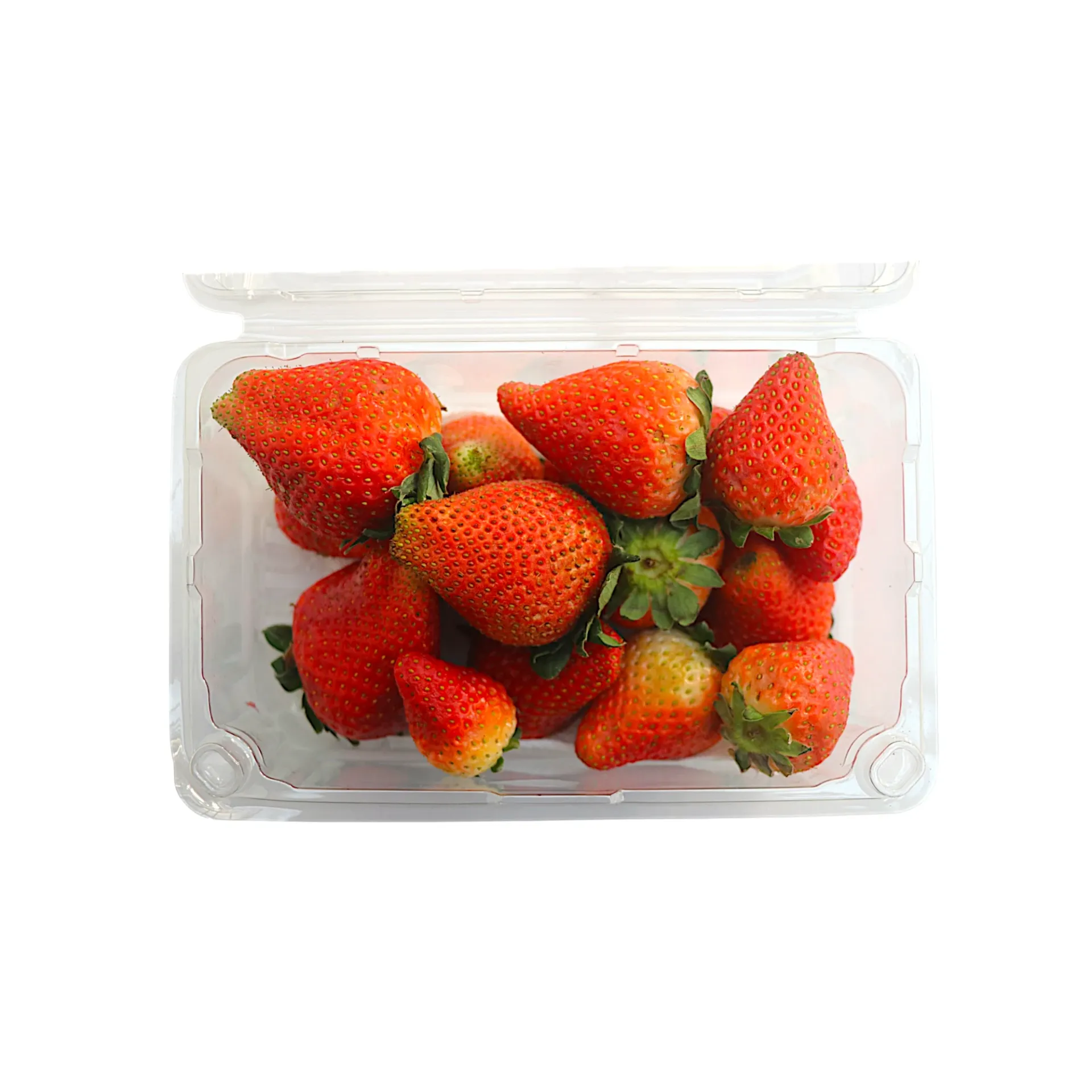 Fresas en domo 470gr RUTA LACUSTRE