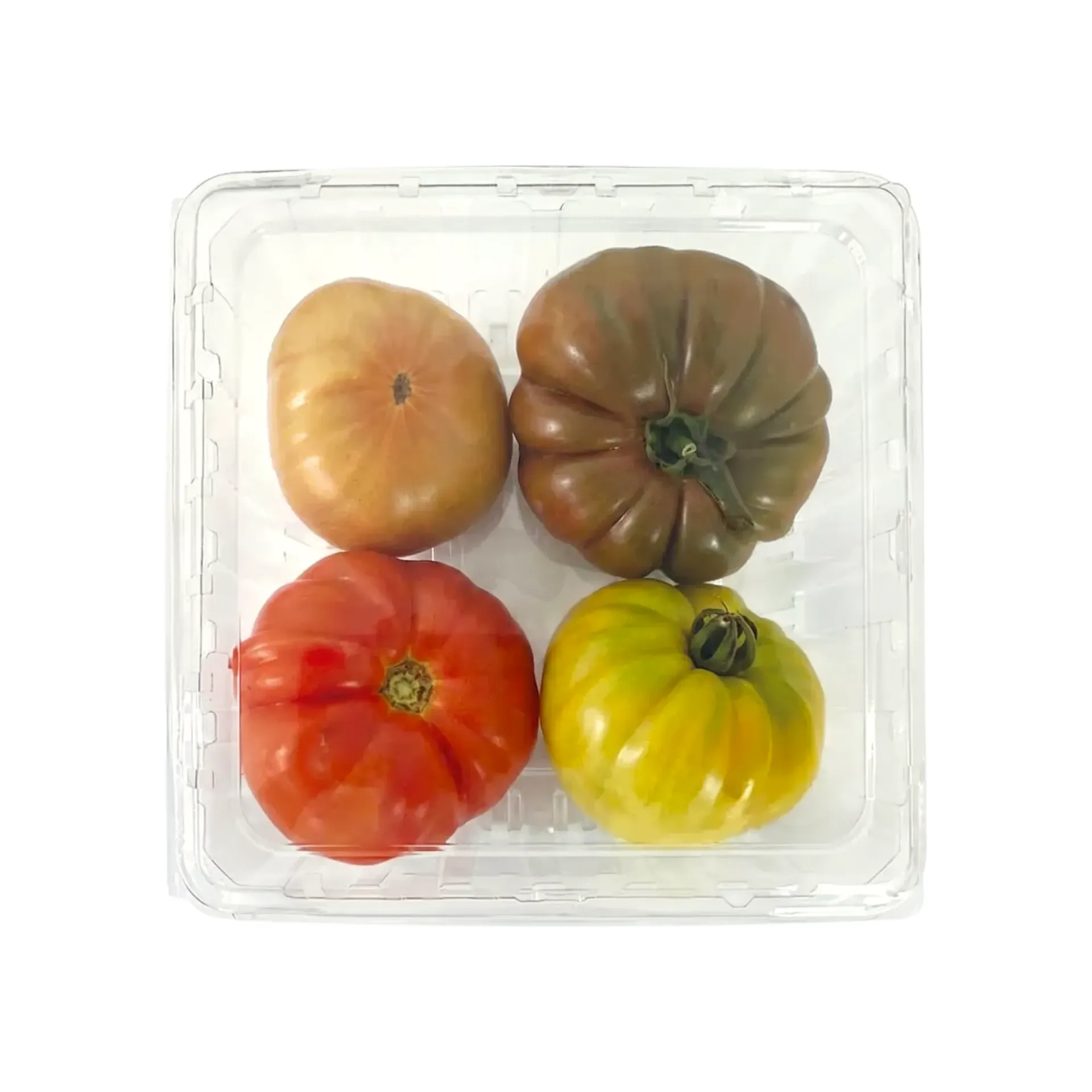 Jitomate heirloom en domo