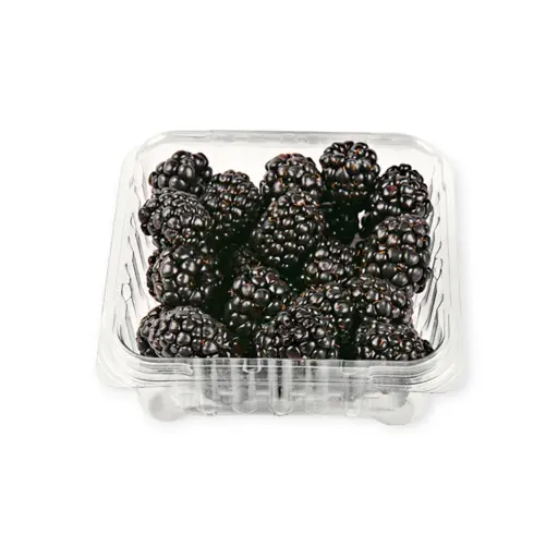 Zarzamoras orgánicas 170gr LUZ DE SABOR