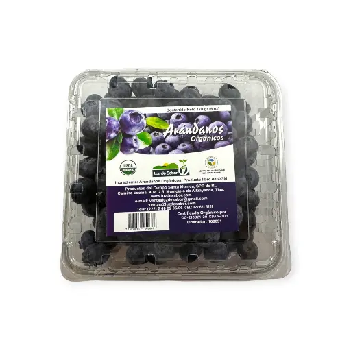 [7503018959689] Arándanos 170gr LUZ DE SABOR