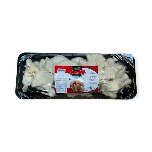 Setas orgánicas 500gr LUZ DE SABOR