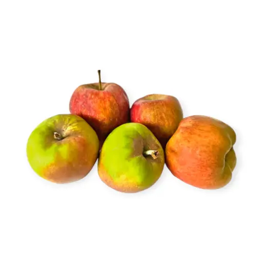 Manzana criolla agroecológica