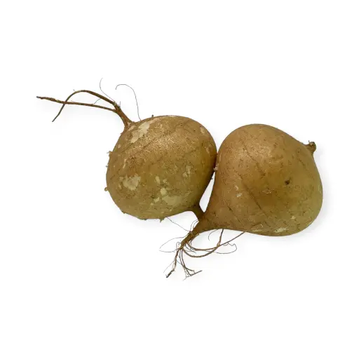Jícama