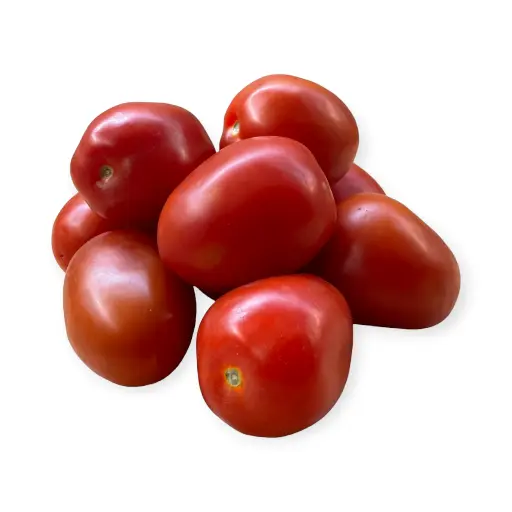 Jitomate saladette