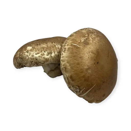 Hongo portobello