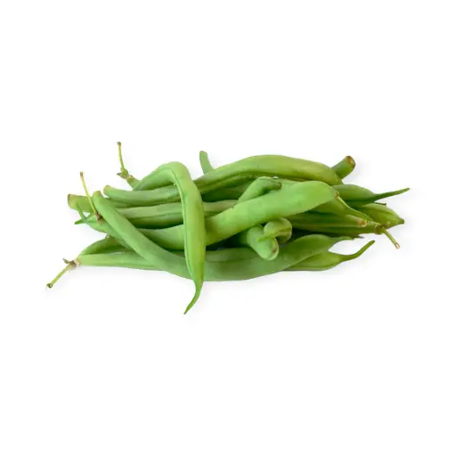 Ejote