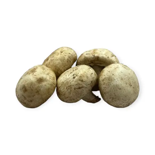 Champiñón