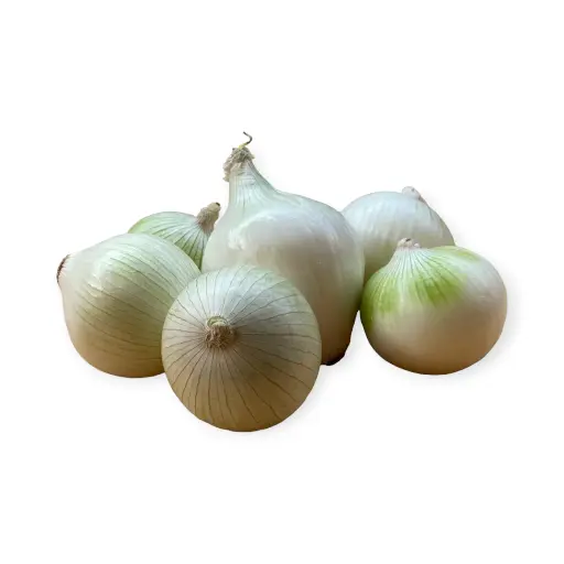 Cebolla blanca