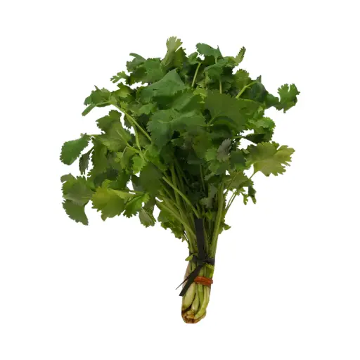 Cilantro mjo ETIQUETA CHINAMPERA