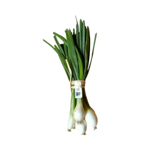 Cebolla cambray pz ETIQUETA CHINAMPERA