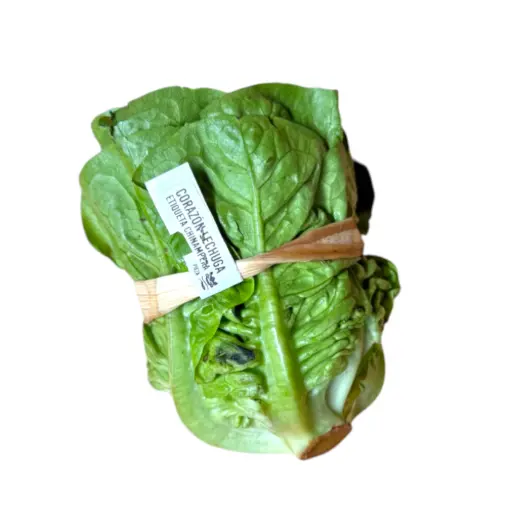 Corazón de lechuga pz ETIQUETA CHINAMPERA
