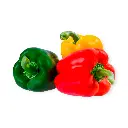 Pimiento morrón