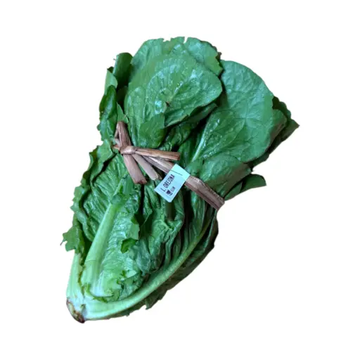 Lechuga orejona pz ETIQUETA CHINAMPERA