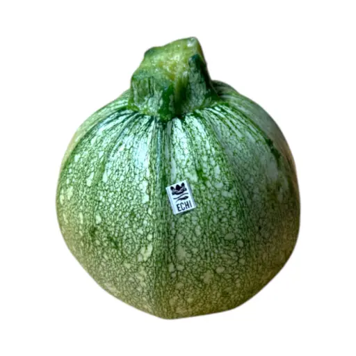 Calabaza redonda ETIQUETA CHINAMPERA